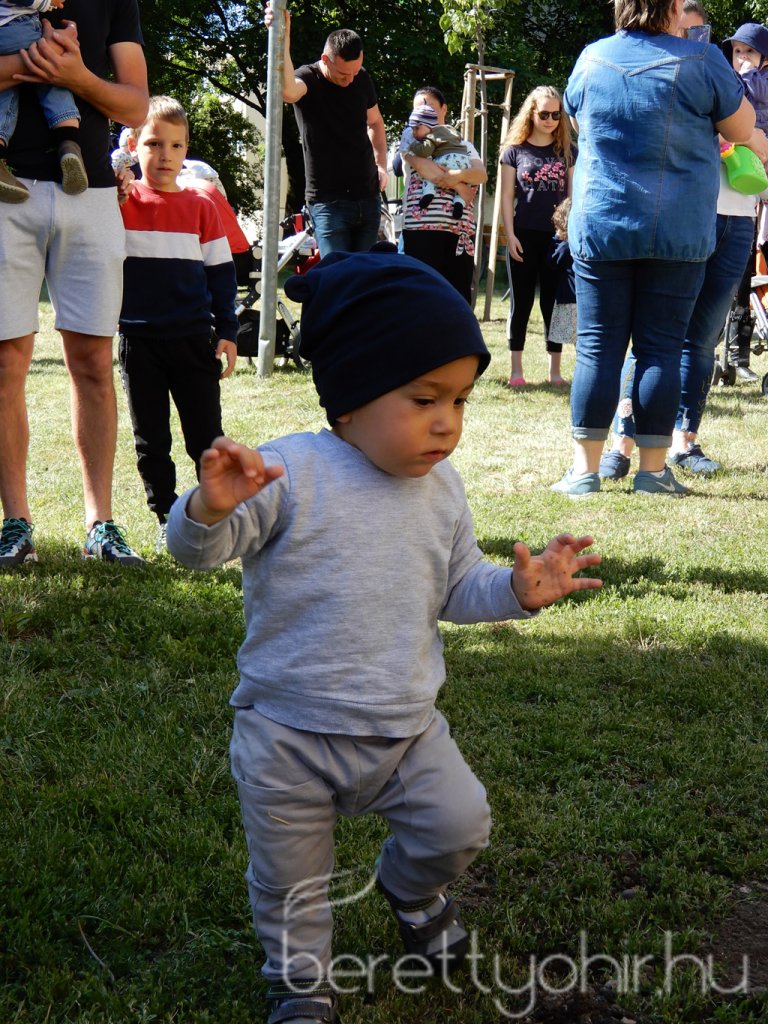 Életfa ültetés a város napján 37